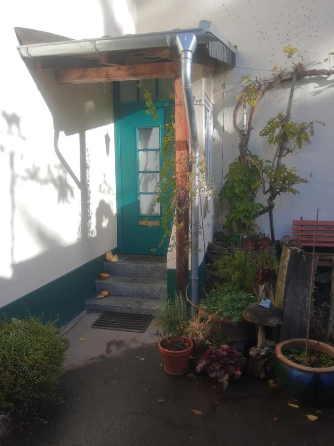 Gartenzimmer Mit Strassenbahn Zu Dom Und Messe 科隆 外观 照片